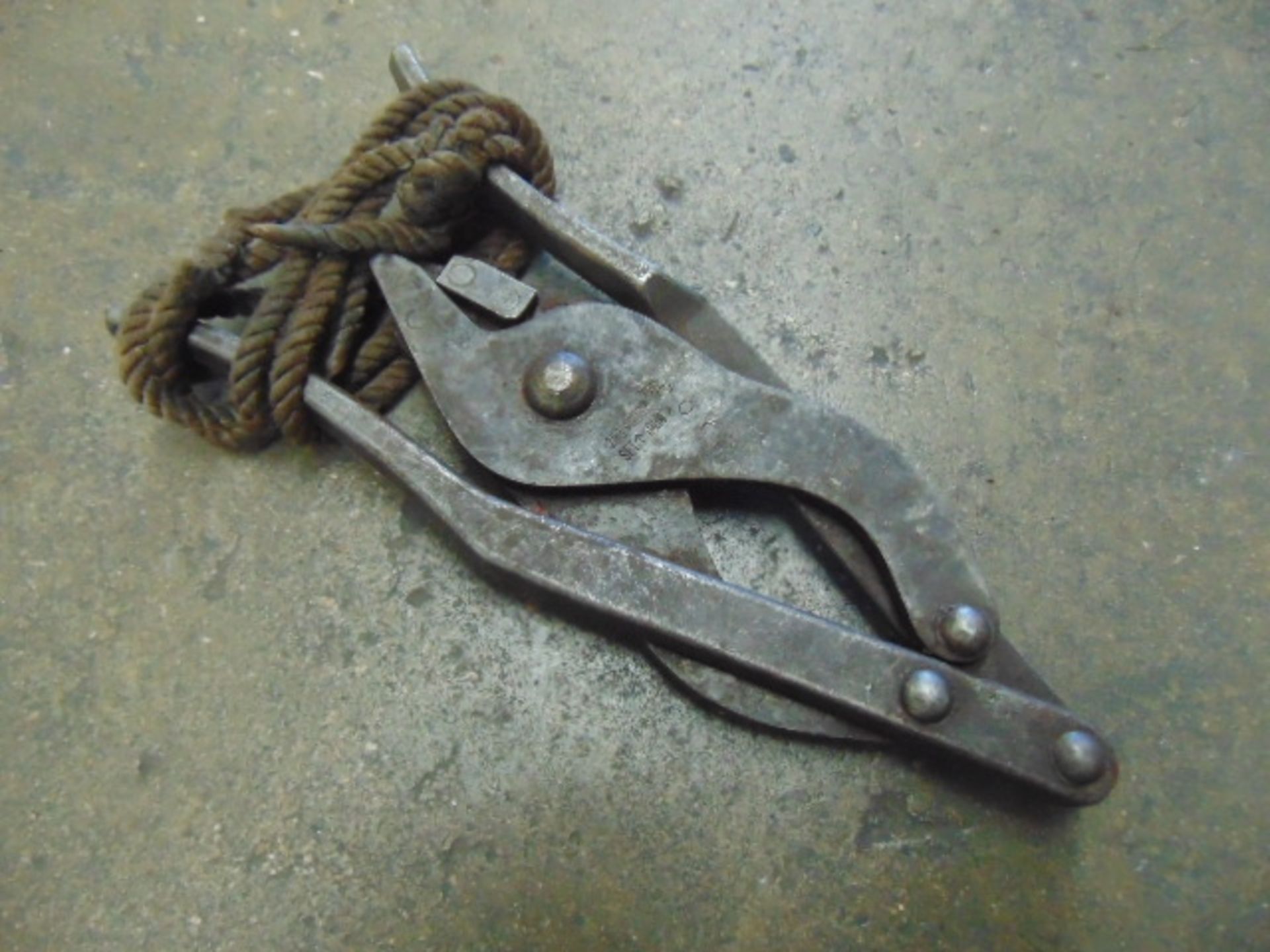Frog Wire Cutter