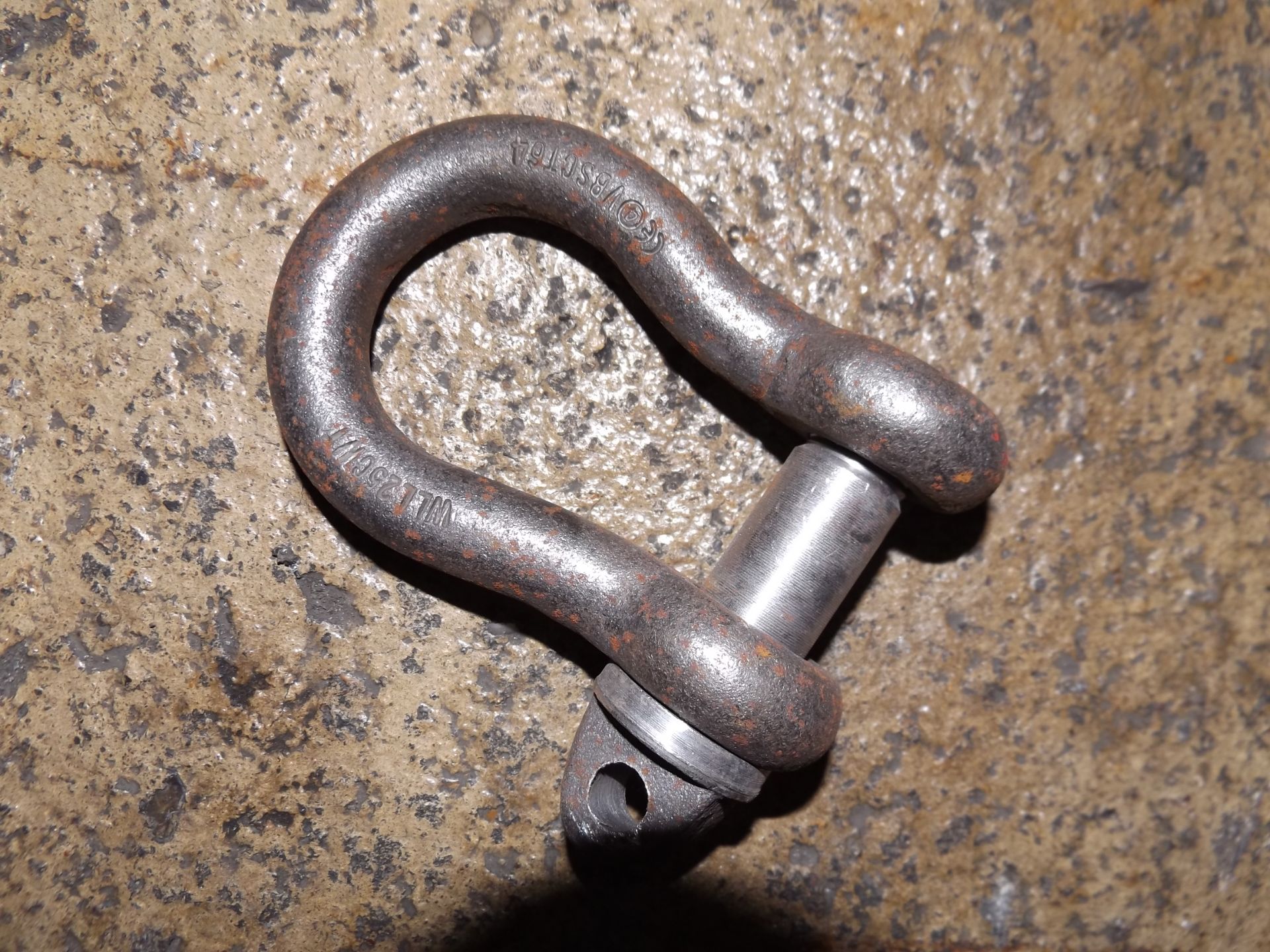 25 x Unissued D Shackles - Image 2 of 4