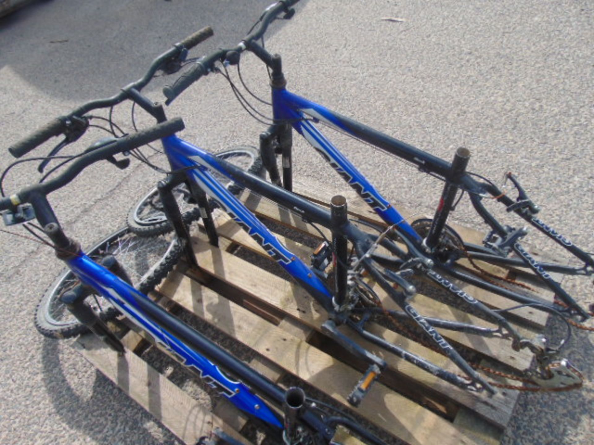 3 x Giant Alluxx 6000 Series Bike Frames with Forks, 2 x wheels etc - Image 3 of 9