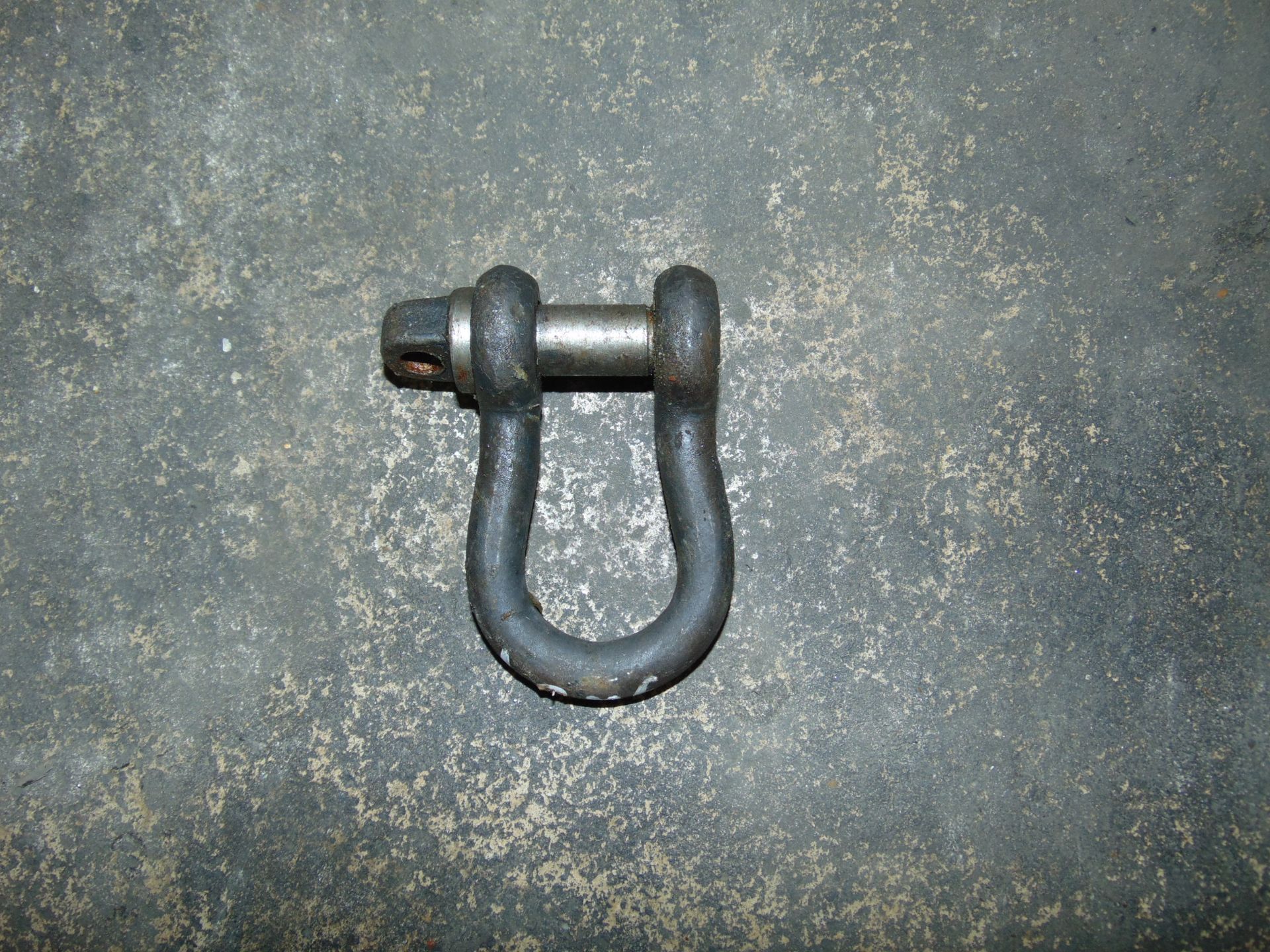 11 x mixed size D Shackles - Image 3 of 4