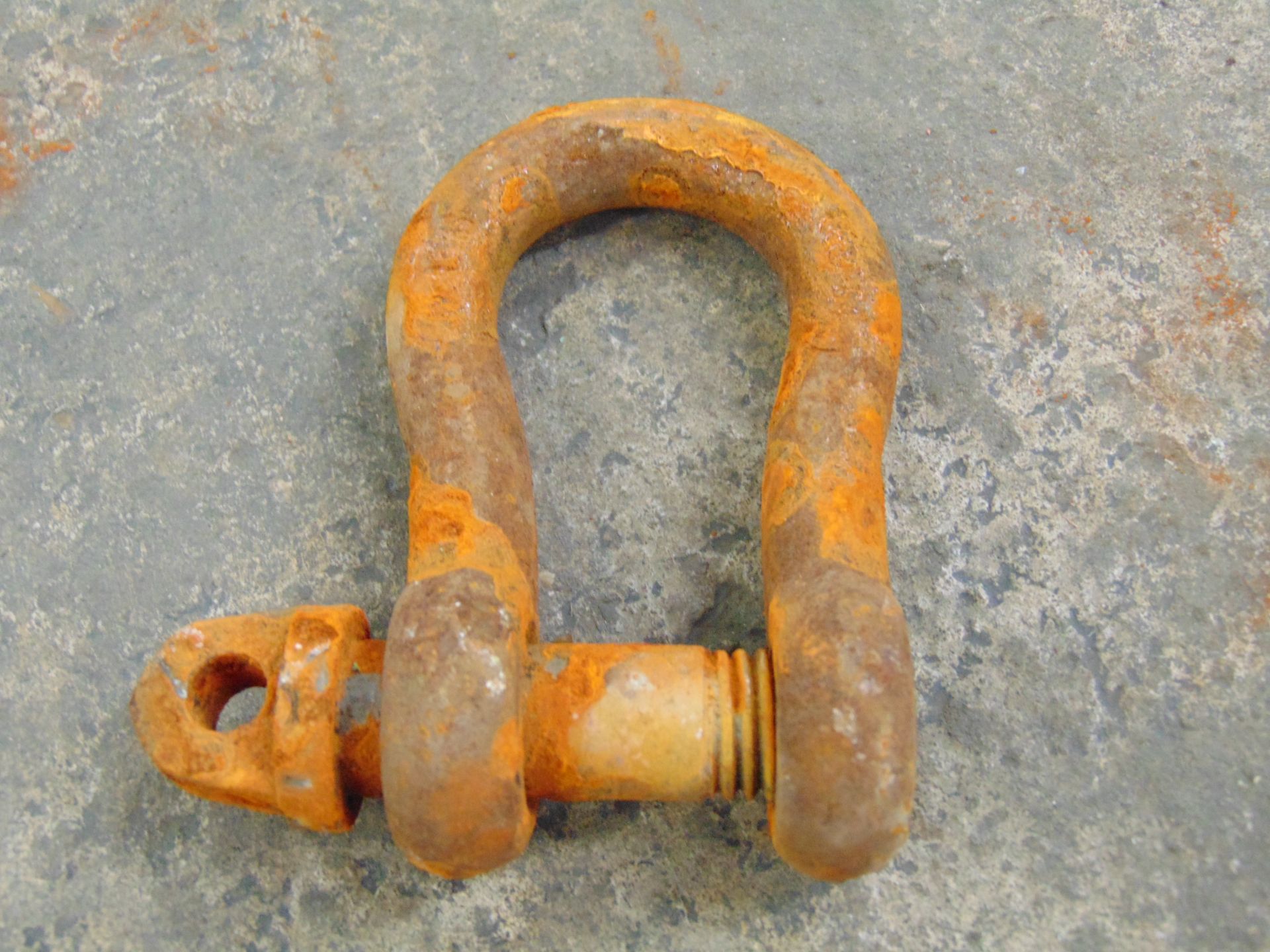 34 x Mixed D Shackles - Image 4 of 5