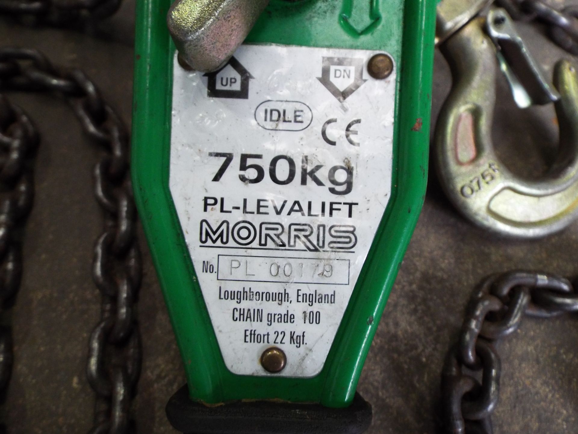 750kg Morris PL-Levalift Chain Hoist - Image 3 of 4