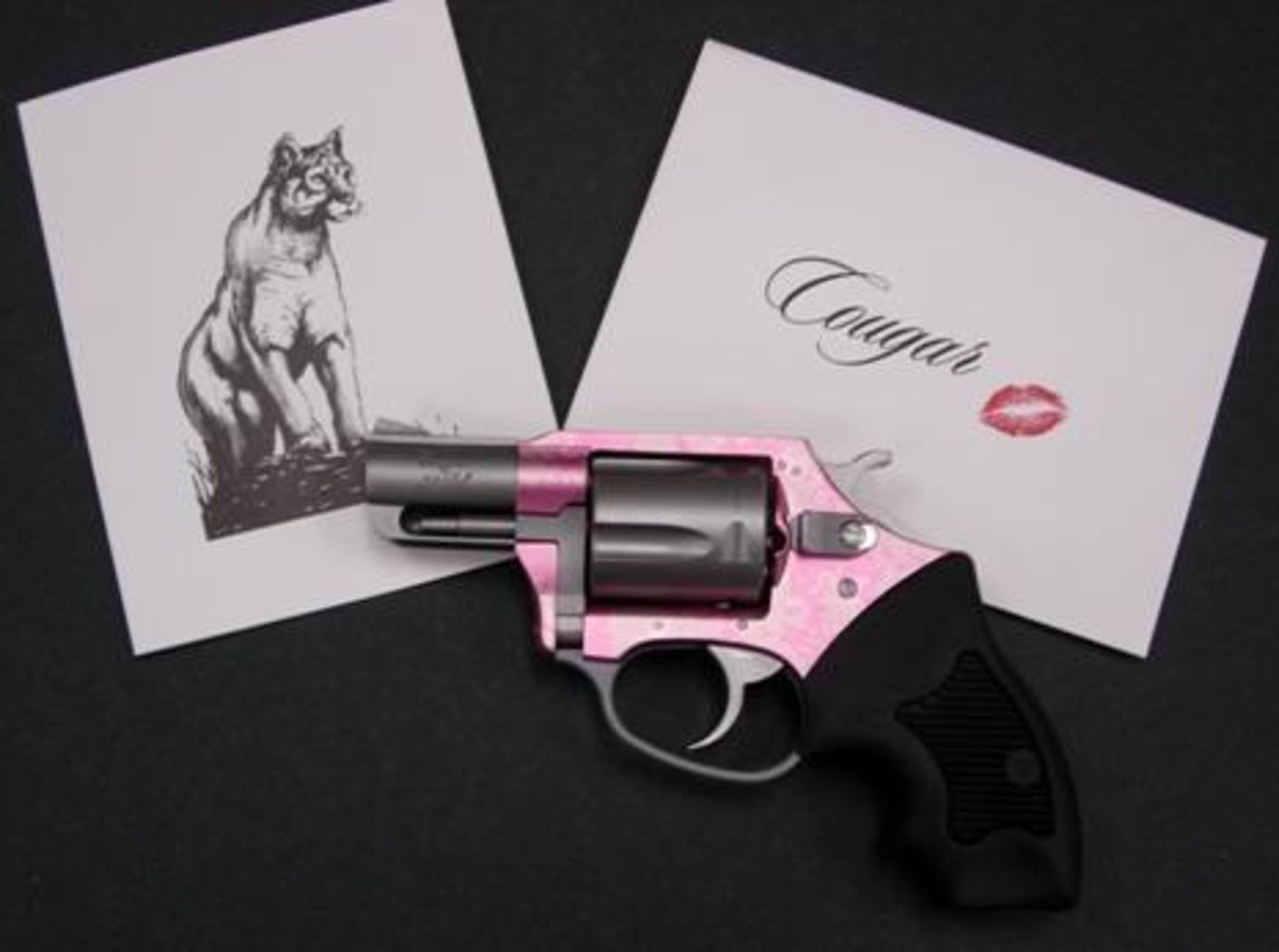 NEW!!! CHARTER ARMS PINK COUGAR 38 SPECIAL 678958538335