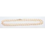 A single row of uniform cultured pearls
Approx 7mm diameter, to 9ct gold push clasp