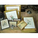 A Set of botanical prints , gilt frames, a set of four 19th century coloured engravings , England,