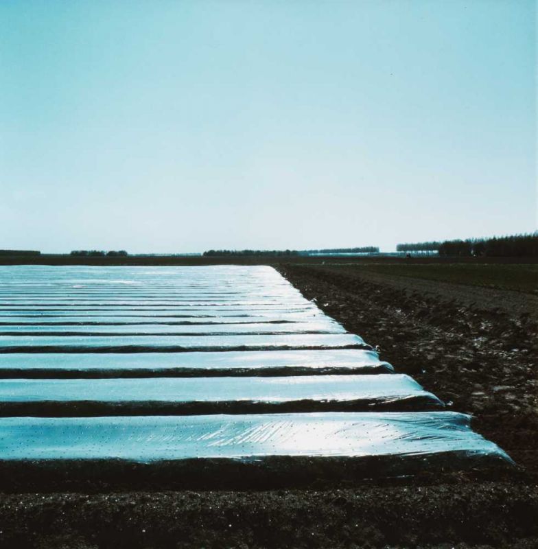 Ger Dekkers (Borne 1929) Covered, Noordoostpolder (quadriptych, 1977) All numbered 1 to 4 on the - Image 4 of 4