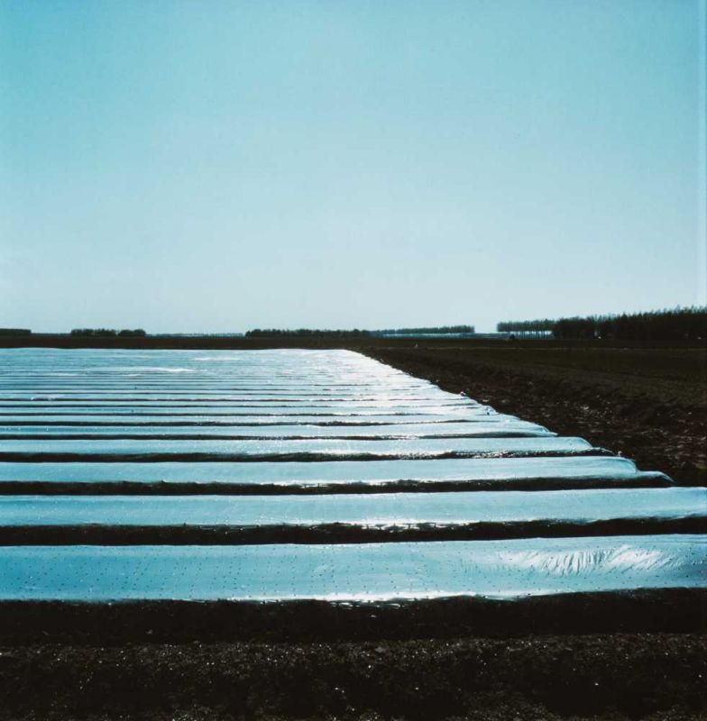 Ger Dekkers (Borne 1929) Covered, Noordoostpolder (quadriptych, 1977) All numbered 1 to 4 on the - Image 3 of 4