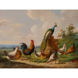 Albertus Verhoesen (Utrecht 1806 - 1881) Chickens and a peacock by a column Signed and dated 1876