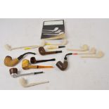 A quantity of pipes including clay examples and briar wood examples.