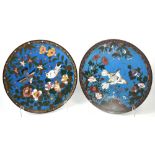 A pair of early 20th century Japanese cloisonné plaques decorated with turtle doves and