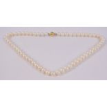 A string of pearl beads with 14ct yellow gold spherical clasp, length 41cm.