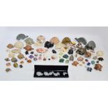 A collection of various carved stone and semi-precious stone tortoises of various sizes to include