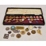 A collection of yellow metal and enamel decorated British Medical Association badges and a group of