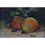 DEREK SHAPIRO; oil on board, "Laxton's Epicure", still life study of fruit, signed, inscribed verso,