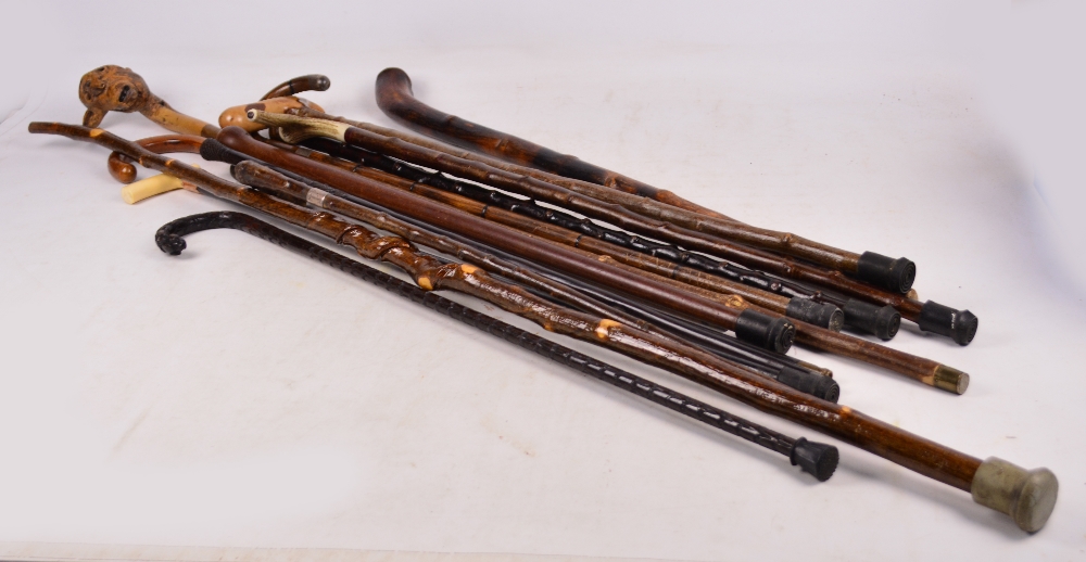 A collection of fourteen various walking sticks and canes including examples with hallmarked silver