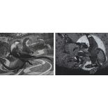 COLIN SEE-PAYNTON; two signed limited edition black and white prints, "Young Otters", 73/100,