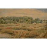 W. HODSON; watercolour, rural landscape with cattle, signed and dated 1888, 29.5 x 39.