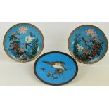 An opposing pair of Japanese Meiji period cloisonné enamelled decorated circular plates,