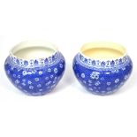 A pair of Shelley blue and white transfer pattern 'Cloisello' ware vases, height 10.5cm.