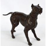 An early 20th century French spelter model of a Great Dane, length 35cm.