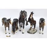 Five figures of Beswick horses to include "Grazing shire", no.1050, and "Welsh cob (rearing)", no.