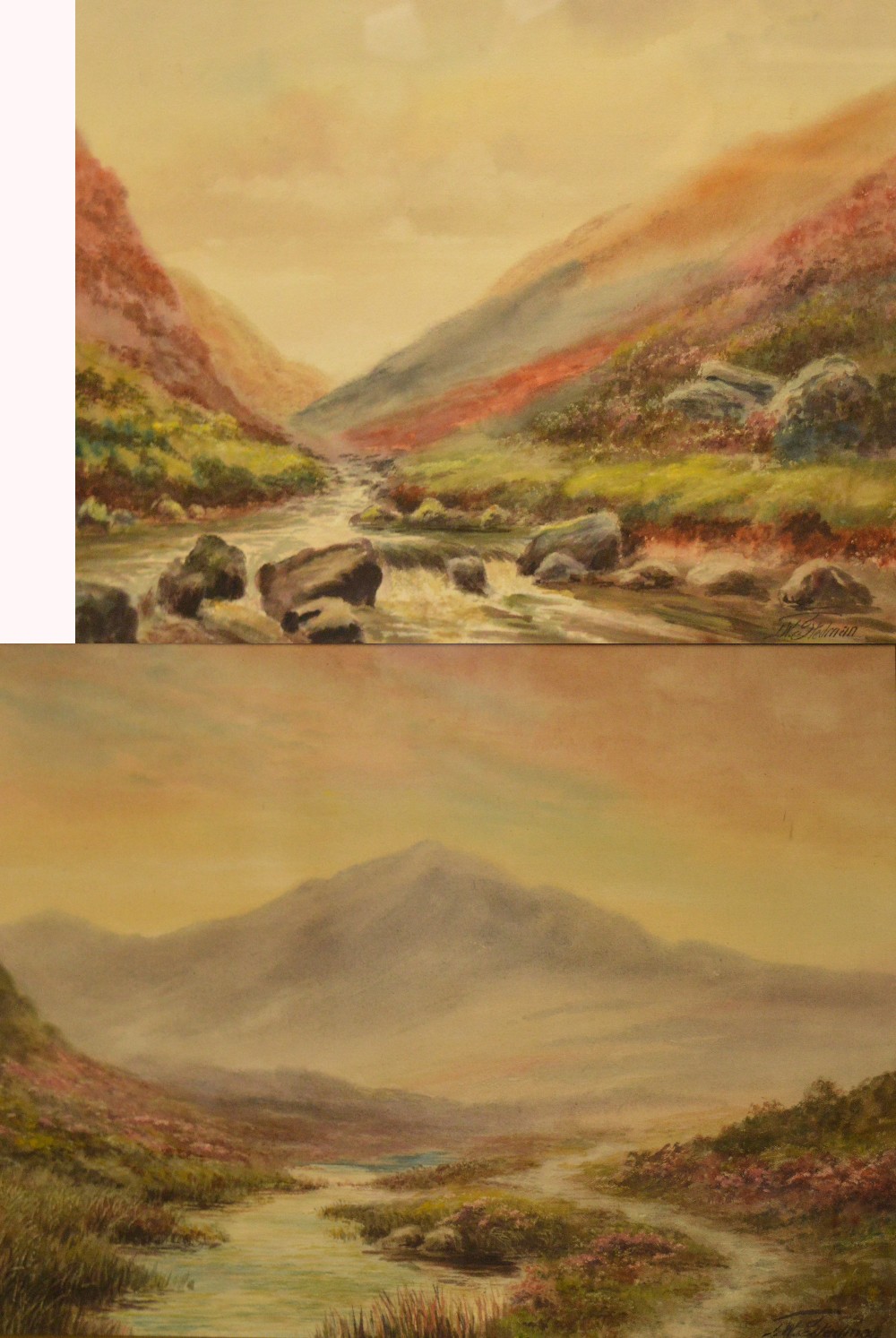 J. W. STEADMAN; a pair of watercolours, mountainous river landscapes, both signed, 24.5 x 39.
