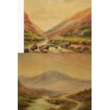 J. W. STEADMAN; a pair of watercolours, mountainous river landscapes, both signed, 24.5 x 39.