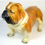 A large modern decorative model of a bulldog, approx width 70cm (af).