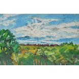 JOHN BRATBY (1928-1992); oil on canvas 'Sun Over the Garden',