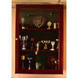 A large wall mounted pine display cabinet containing a quantity of pub sport trophies including the