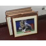 Thirteen framed photographic prints of various snooker players including Jimmy White and John Virgo,