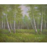 M SULKIN; an oil on canvas of a forest scene with flora in the foreground, 51 x 61cm, framed.