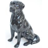 A large Beswick figure of a seated black labrador, model no.2314, height 33.5cm.