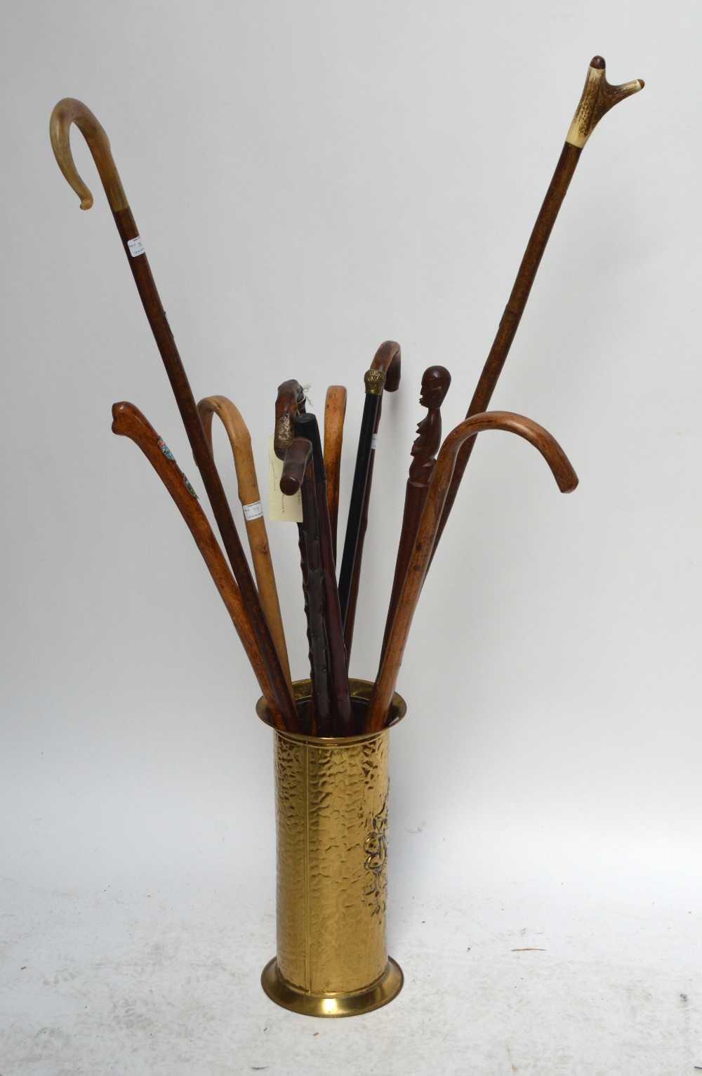 A group of five various walking sticks including gnarled examples,