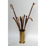 A group of five various walking sticks including gnarled examples,