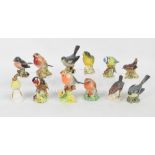 A group of seven Beswick figures of birds including "Grey Wagtail", model no.