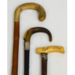 Three walking sticks; an antler ebonised shafted hams mounted example,