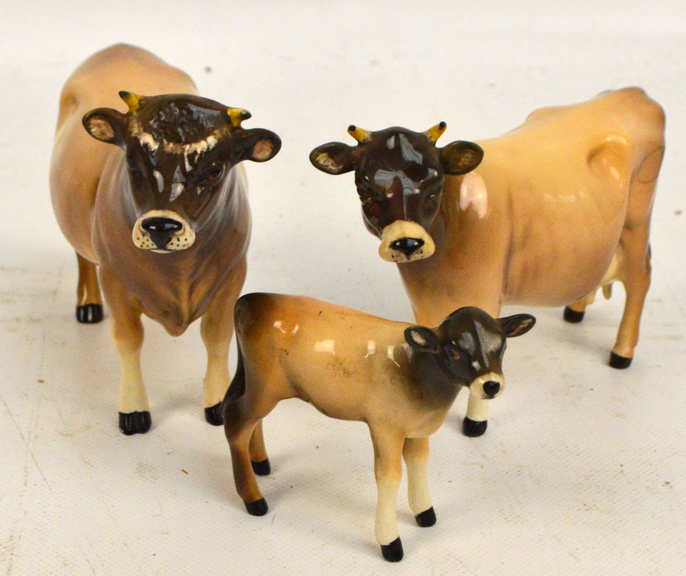 Three Beswick figures; a Jersey bull "Ch. Dunsley Coy Boy", a Jersey cow "Ch.