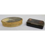 An oval horn snuff box with detachable lid, 8 x 4cm,