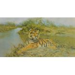 After David Shepherd; a limited edition signed print of a tiger at water's edge,