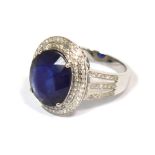 A 14ct white gold ring set with an oval blue sapphire within a border of small diamonds,