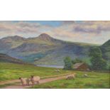 DAVID STOREY; an oil on canvas depicting a barren rural landscape with sheep, signed lower-right,