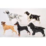 A Royal Doulton a pack of five dogs, a doberman, a spaniel, a boxer,