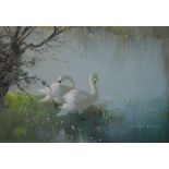 VERNON BEAUVOIR WARD (1905-1985); oil on canvas, a pair of swans beside a lake, signed, 41 x 56cm,