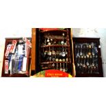 An extensive collection of commemorative and regional collectors teaspoons,