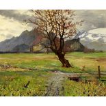 Anderegg Richard Alexander 1880 Azmoos - 1969 Thal "Rheintal-Landschaft". Oel auf Leinwand. Unten