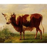 Verhoesen Albertus 1806 - 1881 Utrecht zugeschrieben "Stier auf der Weide". Oel auf Holz. Verso