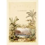 Madeira Folge von 6 kolorierten Lithografien. "Second edition 1842 at Day u.Haghe, London". Dabei: