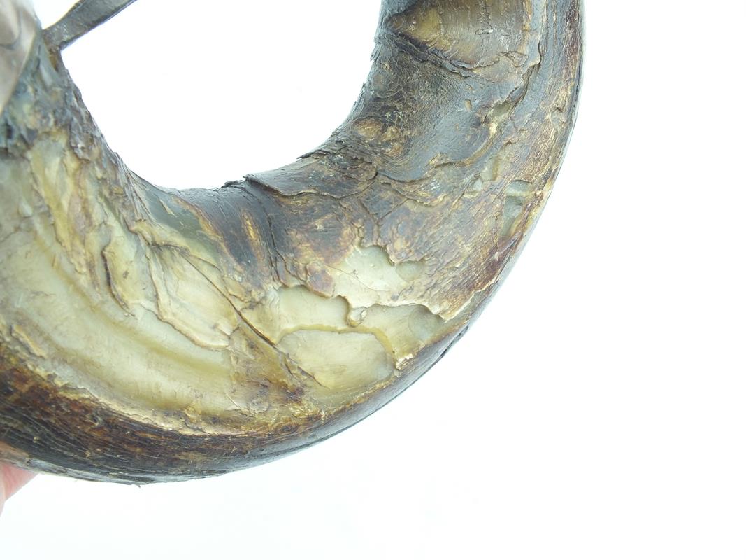 A Late 16th Century white metal mounted Mogul Powder Horn, the upper mount engraved with a scalloped - Image 8 of 9