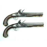 A pair of 25-bore brass mounted flintlock holster or Officer's pistols by Ketland, 8inch barrels,